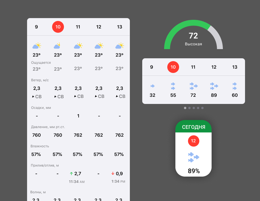 Прогноз погоды и клёва